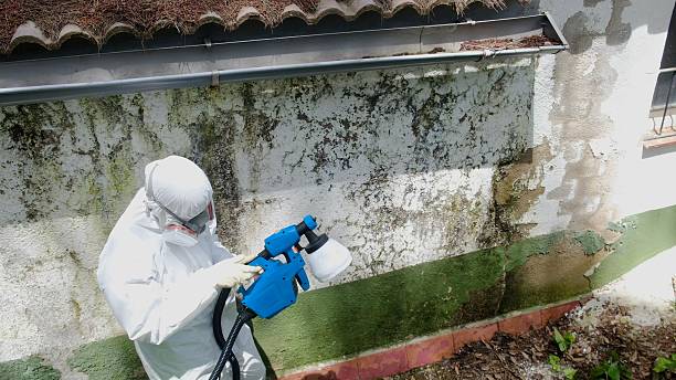 Top rated local Attic Mold Removal specialists in Smithsburg, MD